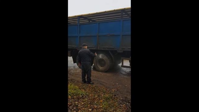 Как происходит дезинфекция автомобиля перед погрузкой в племенном хозяйстве Герефордской породы смотреть онлайн