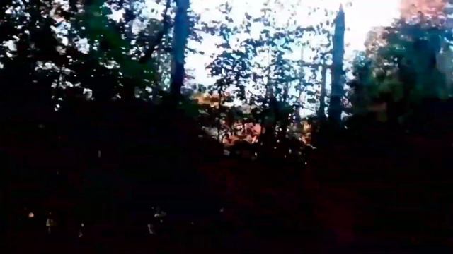 КИНУЛ ТЕЛЕФОН В КУСТЫ А ТАМ.......... смотреть онлайн