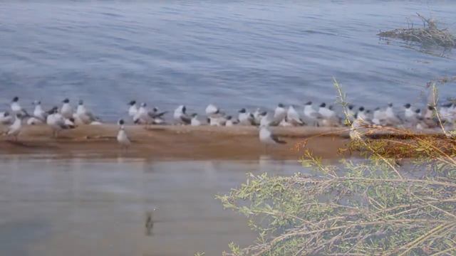 остров Борок 2 смотреть онлайн