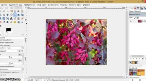 УРОК #2 -Как кадрировать (подрезать) изображение в редакторе GIMP?