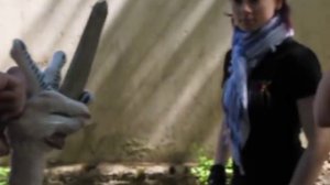 Ножевые бои. Мифы и Реальность. Вся суть ножевого боя.