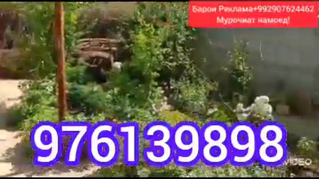 ФУРУХТА ШУД! 20.05.2023 Nexia Opel xechibek vaz21099telefoni furushi успет кн 1 дона лайк мон!? смотреть онлайн