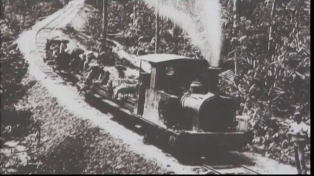 Пальмовое масло 2012 08 смотреть онлайн