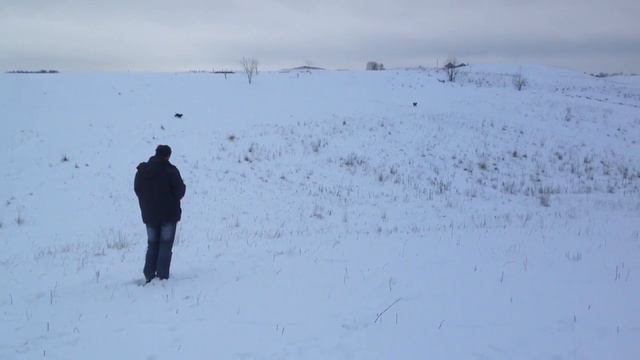 Курсинг смотреть онлайн