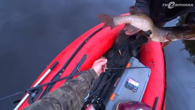 Изба, тайга, рыбалка!!! Щучий адреналин)) Готовим драного окуня) смотреть онлайн