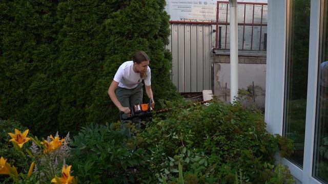 Стрижка хвойные и лиственных кустарников | Самый дорогой садовник | Тестирование инструмента смотреть онлайн