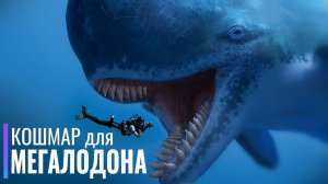 Его боялся даже МЕГАЛОДОН. Самый опасный Кит в истории