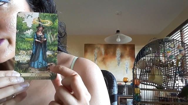 Q&A Announcement/Why Im loving the Everyday Witch Tarot смотреть онлайн