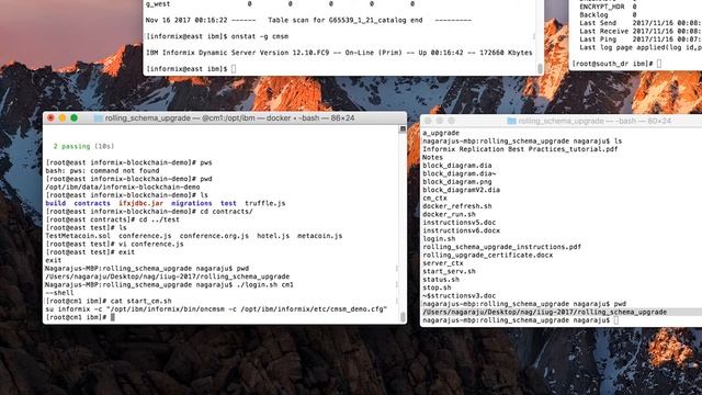 Informix Rolling Schema and Application Upgrade смотреть онлайн