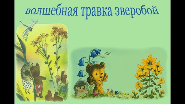 Волшебная травка зверобой. смотреть онлайн