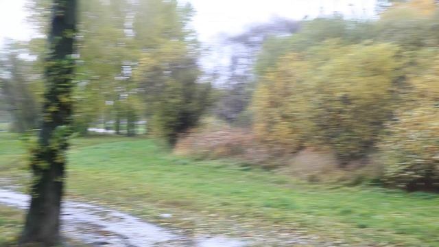 Немного гитары. "В осеннем парке" смотреть онлайн