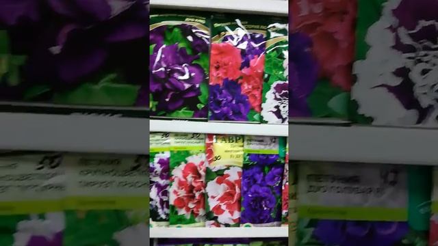 Петуния Изи вейв, Танго, Махровая,Дот стар, софистика, Алладин, Лимбо смотреть онлайн