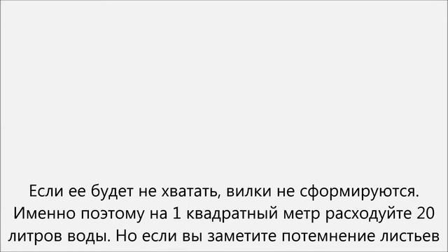 Как поливать огород.Как часто поливать огород смотреть онлайн