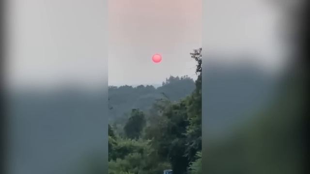 Олимлар Тасвирга Олган Нарса, Бутун Дунёни, Ларзага Солди. смотреть онлайн