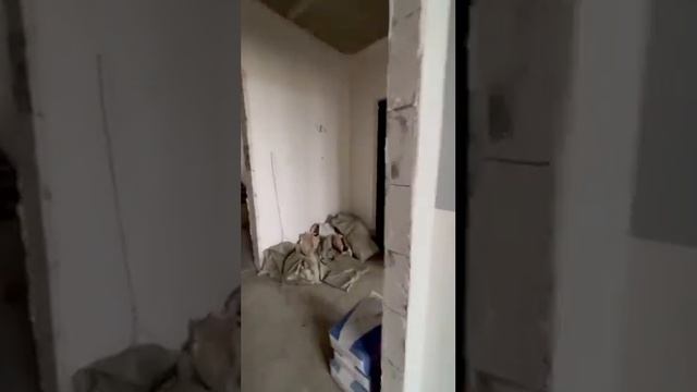 1 кКв 45.29 кв.м. ЖК НОВЫЕ СЕЗОНЫ видео обзор планировки