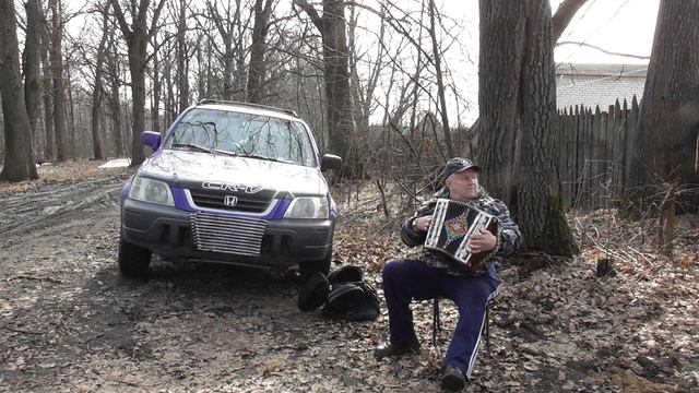 \дайте в руки мне гармонь\золотые планки\нижегор\гарм\от\самор слухач\без\муз\обр\и\аспирантур\и\но смотреть онлайн