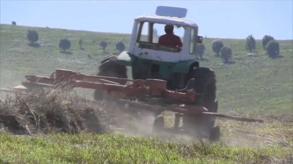 ПЕРЕЕЗД НА АЛТАЙ//БЛАГОУСТРОЕННОЕ СЕЛО//АЛТАЙСКОЕ