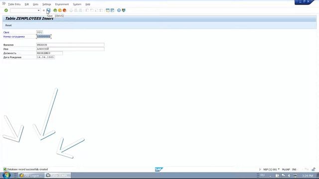 010_Как внести данные в Таблицу SAP? смотреть онлайн