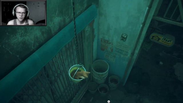 КОТИК ПРОТИВ ВСЕГО МИРА?! / Злой Русский Играет в Stray #1 смотреть онлайн