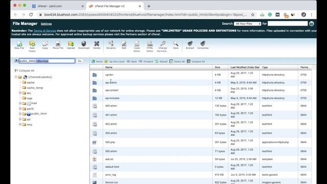 How to Fix Bluehost cPanel File Manager Not Showing Hidden Files смотреть онлайн