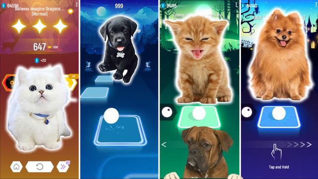 CUTE CAT BELIEVER IMAGINE DRAGONS VS CUTE DOG VS CUTE CAT ENEMY VS CUTE DOG BABY SHARK & TILES HOP смотреть онлайн