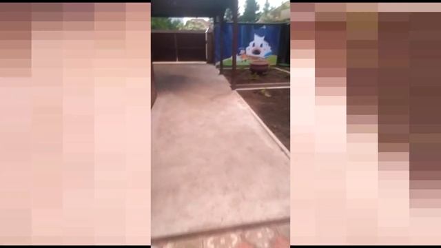 Каркасный Бассейн моего Подписчика смотреть онлайн