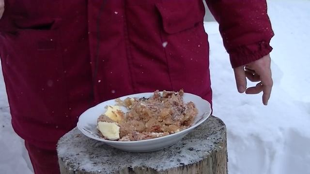 Тушёнка. Говядина тушёная высший сорт! БМП (бурятмяспром)! "preppers! смотреть онлайн