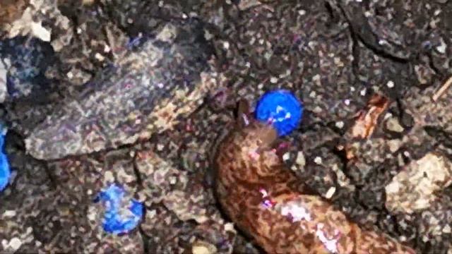 "Гроза-3" от улиток и слизней смотреть онлайн