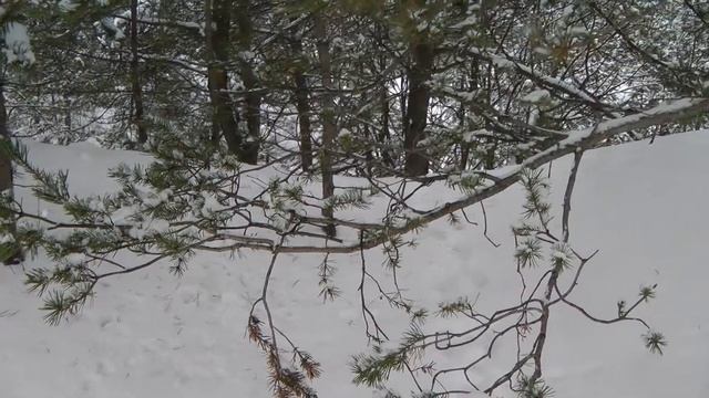 Reder Kreuz Teil 2 (Panasonic HDC-SD707) смотреть онлайн