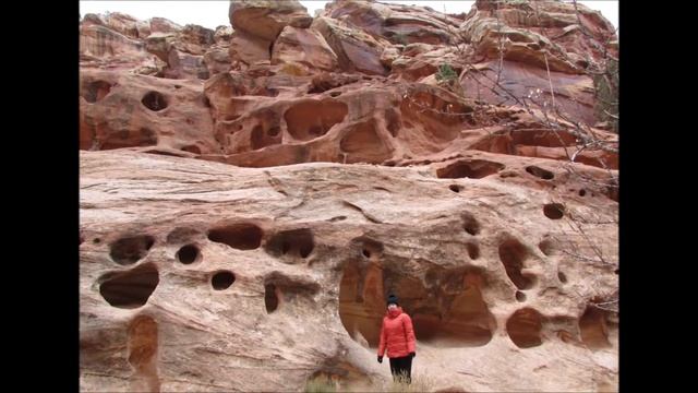 НАЦИОНАЛЬНЫЕ ПАРКИ АМЕРИКИ смотреть онлайн