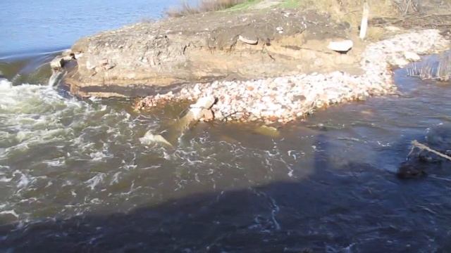 Река Красавка. Плотина у Новоалександровки Самойловского района смотреть онлайн