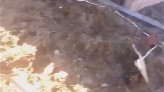 Бурение Абиссинской Скважины! 4 Скважины В Одном Видео! смотреть онлайн