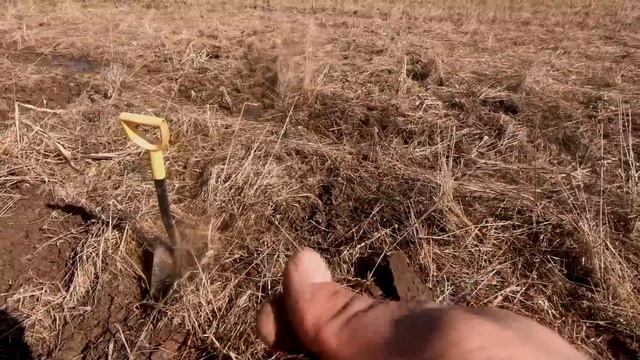 Да уж-ПРИШЛОСЬ МАХНУТЬ ПО СТАКАНУ-КОГДА ПОНЯЛИ КУДА ЗАБРАЛИСЬ-ОБНАРУЖИЛИ ЭТО В ГЛУШИ!коп поиск моне смотреть онлайн