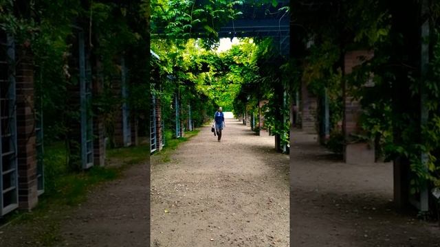 Польша, Щецин и где можно хорошо отдохнуть душей смотреть онлайн