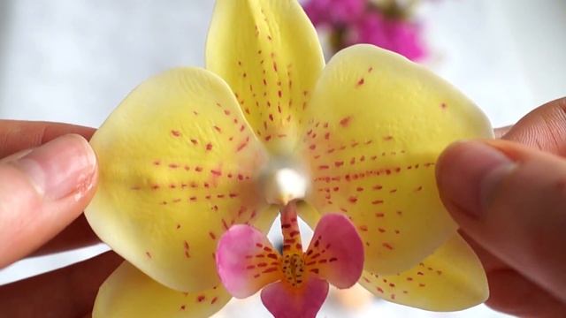 Что из себя представляют цветы из холодного фарфора? | Flowers from cold porcelain смотреть онлайн