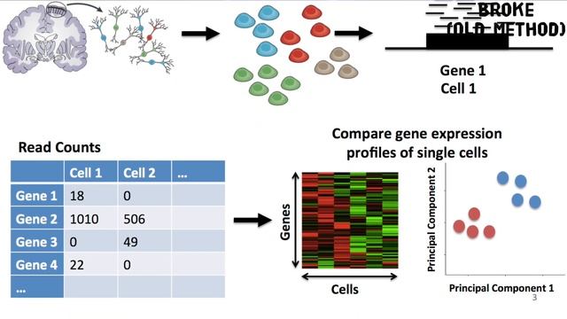 Multiomics Data for Cancer Diagnosis (AlphaCare: Episode 3) смотреть онлайн
