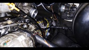 Не заводится, ошибка элемента N146 - VW LT46 2.5d