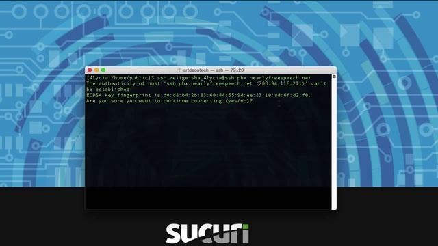 WordPress CLI (WP-CLI): How to Connect to Your Website via SSH смотреть онлайн