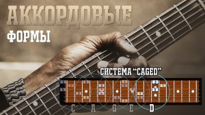 ★ Система октав и аккордовые формы (система "CAGED") ★