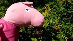 Реальная Жизнь Свинки Пиги №7- На санках летом