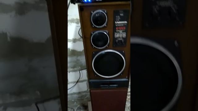 Radiotechnika S-90D Topp pro TRX 500 amplipifer смотреть онлайн