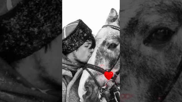 🌆ДОБРОГО ВЕЧЕРА ВСЕМ 💖С ЛЮБОВЬЮ ОТ МЕНЯ 🌹ОТ ДУШИ🌹 АВТОР ВИДЕО ИРИНА ИВАНЕНКОВА. смотреть онлайн