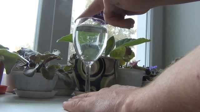 Поющие бокалы весьма красиво обязательно посмотрите смотреть онлайн