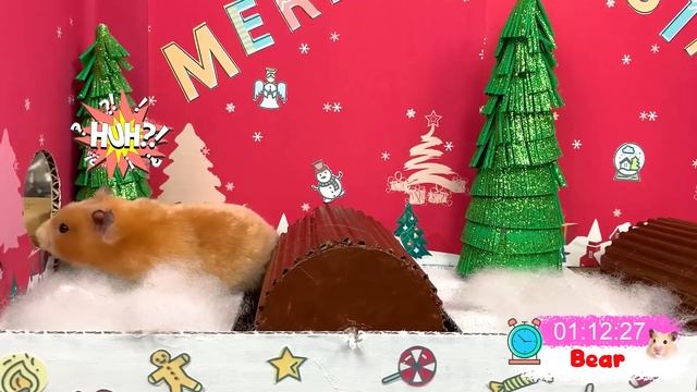 Hamster Race Escape POPIT Christmas Maze смотреть онлайн