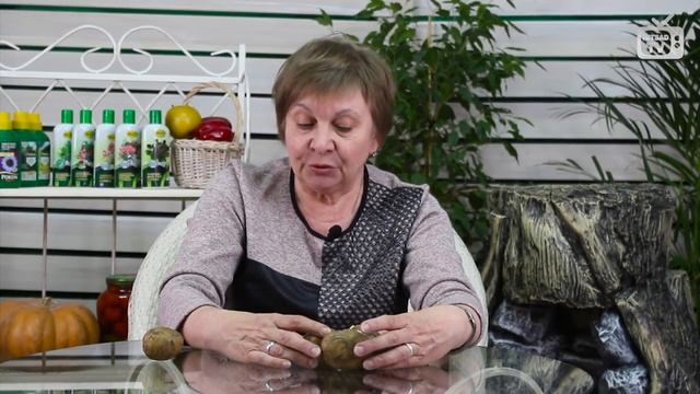 Секреты выращивания картофеля ? Подготовка к посадке ? Мастер класс HITSAD TV смотреть онлайн