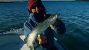 Ловля щуки на джеркбейт!