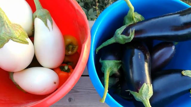 Наш урожай. Закрытие дачного сезона 2018. смотреть онлайн