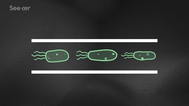 This Superfluid Is Alive, And It Could Power Machines of the Future смотреть онлайн