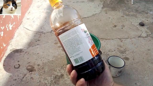 Подкормка винограда до цветения под корень Удобрение для винограда смотреть онлайн