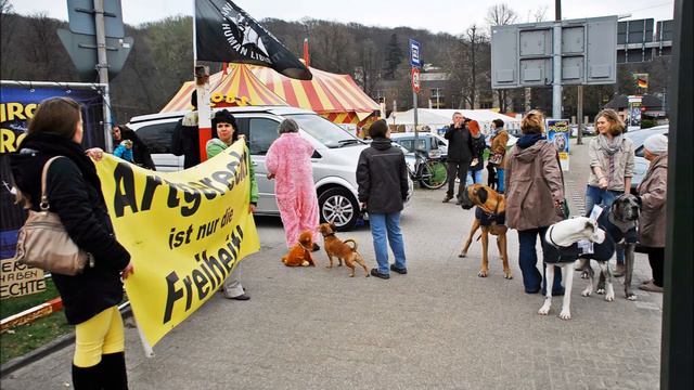 Circus Probst Düsseldorf смотреть онлайн